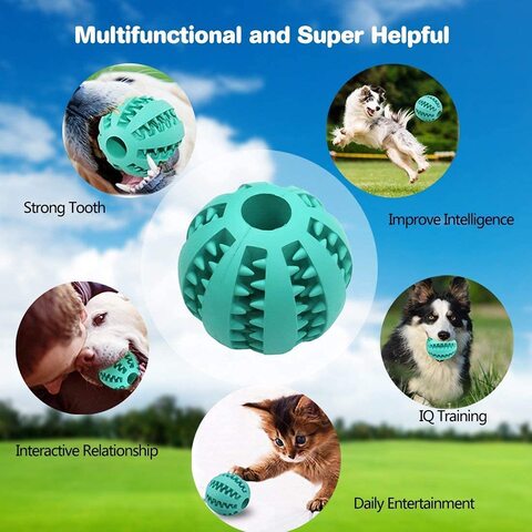 Dog training hot sale ball