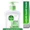 Dettol Soothe Anti-Bacterial Aloe Vera And Apple Hand Wash 250ml
