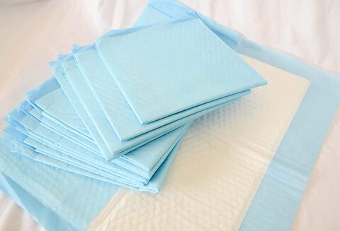 Luxe Decora Disposable Absorbent Pet Diaper Dog Training Pee Urine Pads, Leak-Proof Pee Pads (60x45, 100)