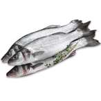 Buy Fresh Sea Bass in UAE