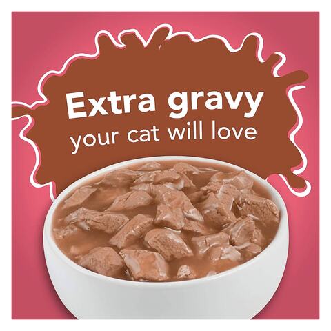 Friskies extra 2024 gravy commercial