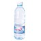 Sannine Water 500 Ml