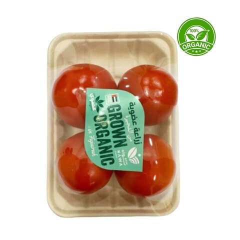 Organic Round Tomatos