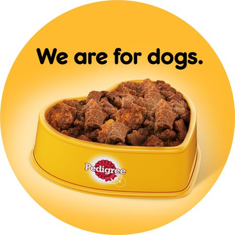 Canned dog food store pedigree