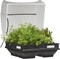Vegepod Garden Bed 100x100cm (Plus Extra Supplier&#39;s Delivery Charge Outside Doha)