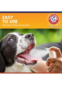 Arm &amp; Hammer Complete Care Dog Dental Spray