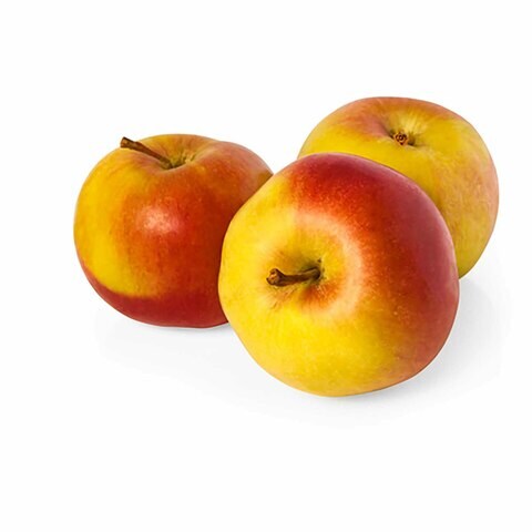 تفاح أمبروسيا كندي - صغير الحجم