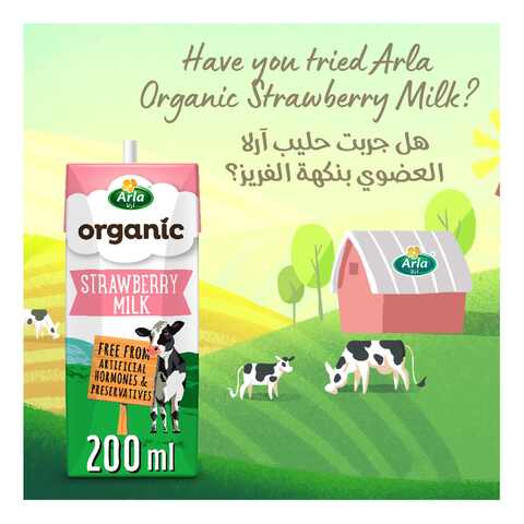 Arla Organic Milk Chocolate Multipack 200ml Pack of 6