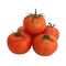 Tomato Round Import