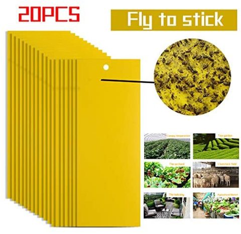 Generic - 20PCS Flie Traps Bugs Sticky Board Sticky Traps Flying Plant Insect Catcher