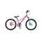 RoyalBaby Chipmunk Explorer Alloy Bicycle Pink 20inch