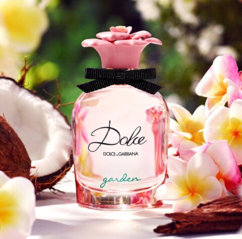 Dolce and gabbana perfume garden sale