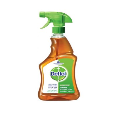 DETTOL Nettoyant salle de bain 3077939 frais de la montagne 750ml -  Ecomedia AG