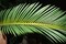 YATAI Artificial Tropical Desert Cycad Plant - 1.1 Meters