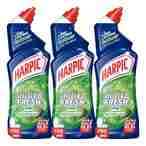 Buy Harpic Fresh  Pine Toilet Cleaner 750ml Pack of 3 in UAE