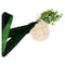 Ginger Ray Mummy To Be Belly Sash with Foliage and Wooden Tag- Dark Green