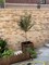 LINGWEI Decorative Wooden Garden Fence Garden Fence Stakes Wood Garden Pickets Plants Flower Bed Edging for Landscaping Wooden Garden Edging Panel Medium