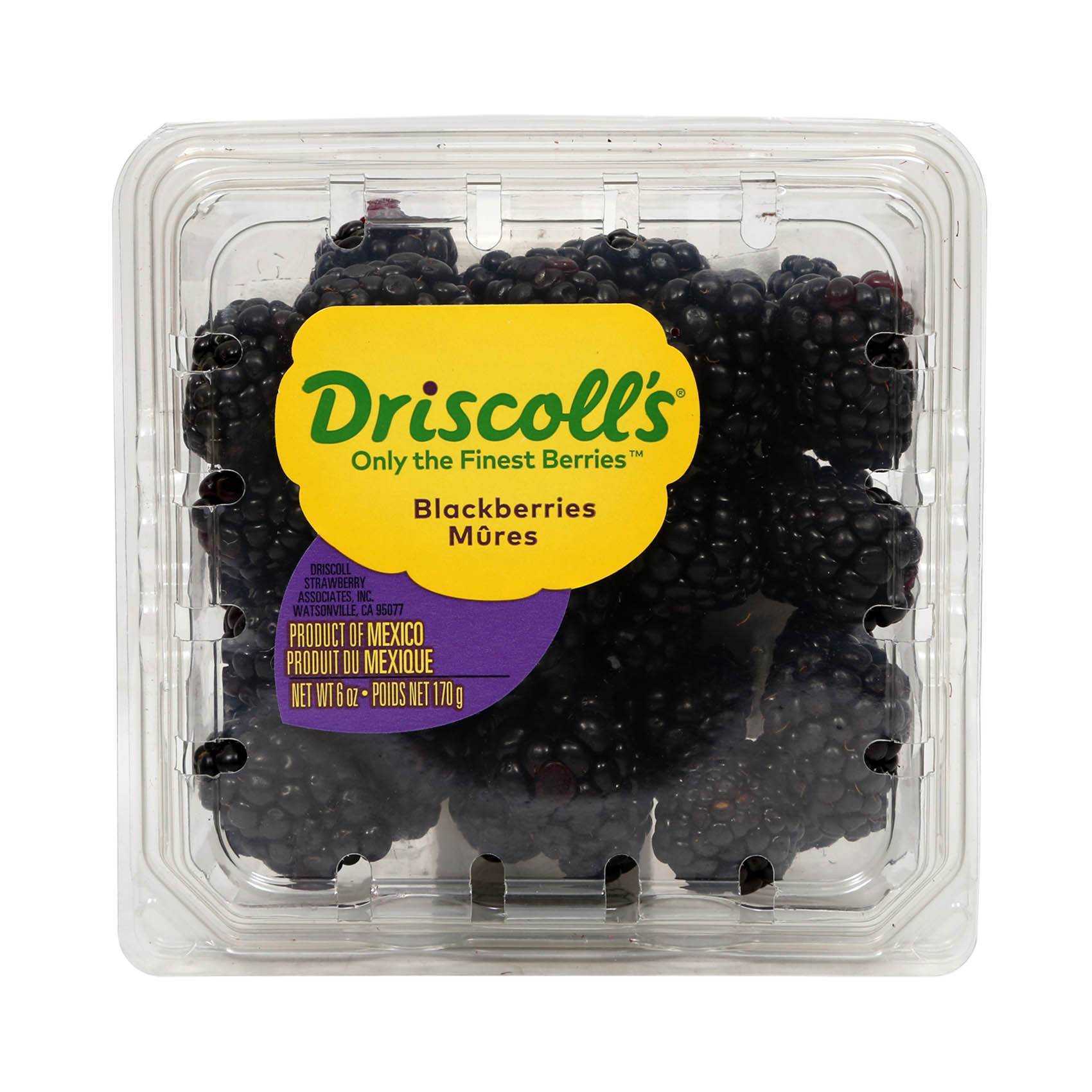 Buy Driscoll's Blackberry Fruit 170gm