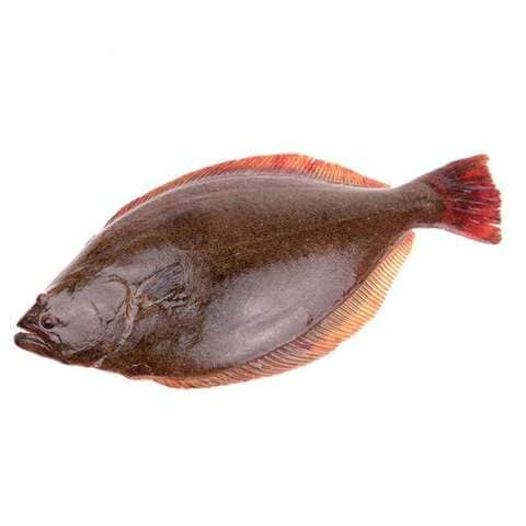 Buy Fresh Halibut in UAE