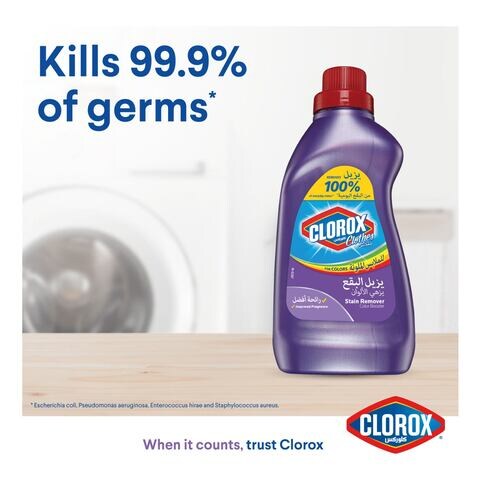 Clorox Stain Remover & Color Booster, Bleach