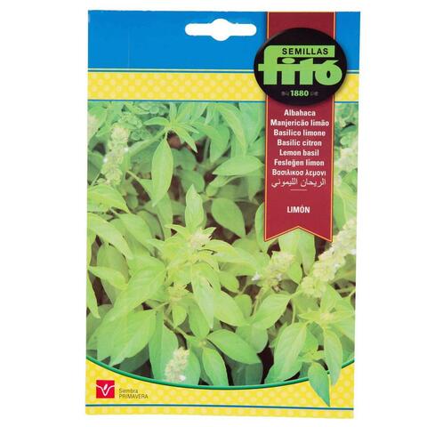 Buy Fito Seed Lemon Basil 4 g Online Shop Home Garden on