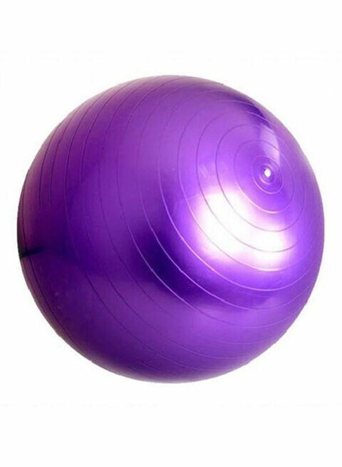 Buy Generic Aerobic Exercise Ball Online - Shop Health & Fitness on ...