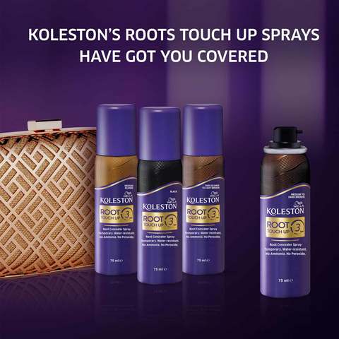 Best spray deals root touch up