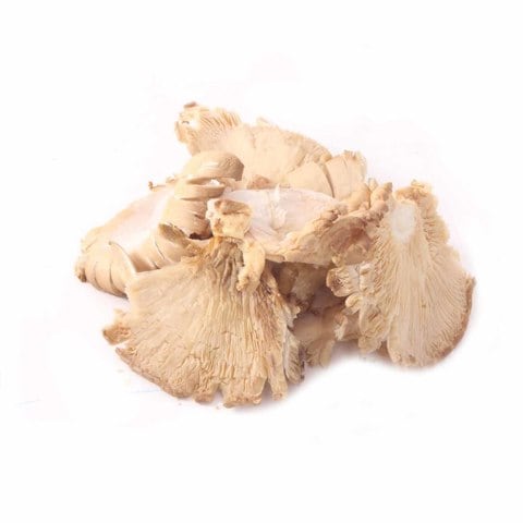 Whole Mushroom Oyster