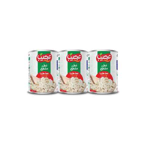 Buy Ajeeb Mushrooms Pieces And Stems 400g Pack of 3 in UAE