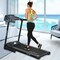 Sparnod Fitness STH-2100 (4 HP Peak) Automatic Treadmill - Foldable Motorized Treadmill for Home Use
