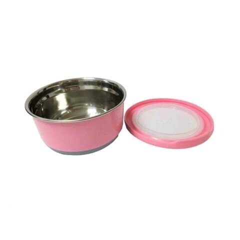 Winsor Stainless Steel Food Container Pink 730ml