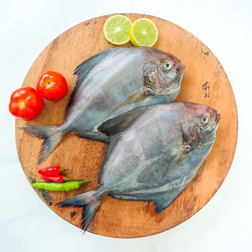 pomfret per kg