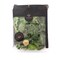 Baby Kale Green Pack Of 125g