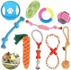 اشتري Jjone Dog Chew Toys, 10Pcs Durable Puppy Dog Rope Teething Training Set, With Knots Natural Cotton Chew Boredom Rope Ball Interactive Dog Toys Indestructible Gift Set (10Pcs) في الامارات