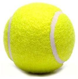 WEILEPU Championship Yellow Cricket/Tennis Ball, Unisex Playing Ball (Set of 3 Pieces).