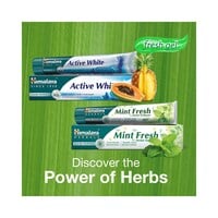Himalaya Mint Fresh Herbal Toothpaste White 125g