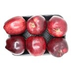 Buy Apple Red 6-Piece Pack in UAE