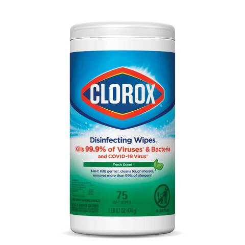 Buy Clorox Disinfecting Wipes Fresh Scent 75 Wet Wipes in UAE