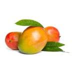 Buy Keitt Mango in Saudi Arabia