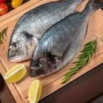 Buy Omani Sea Bream Fish in Saudi Arabia
