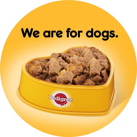 طعام الكلاب الرطب بيدجري لامب 400 جرام