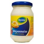 Buy Remia Mayonnaise - 250 gram in Egypt