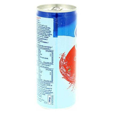 Ocean Spray Cranberry Classic Juice 250ml x6