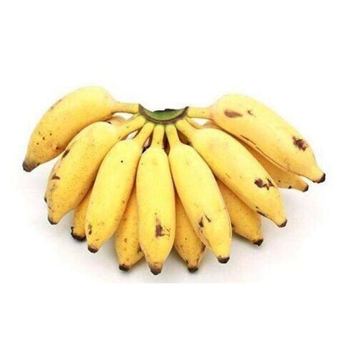 Indian Yellow Short Banana