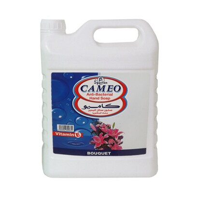Cameo Anti-Bacterial Bouquet Hand Soap 4L