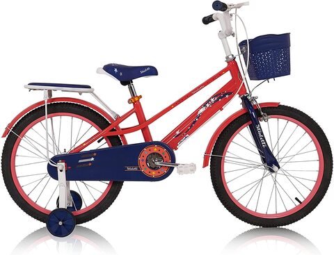 Bicycle for kids on sale online