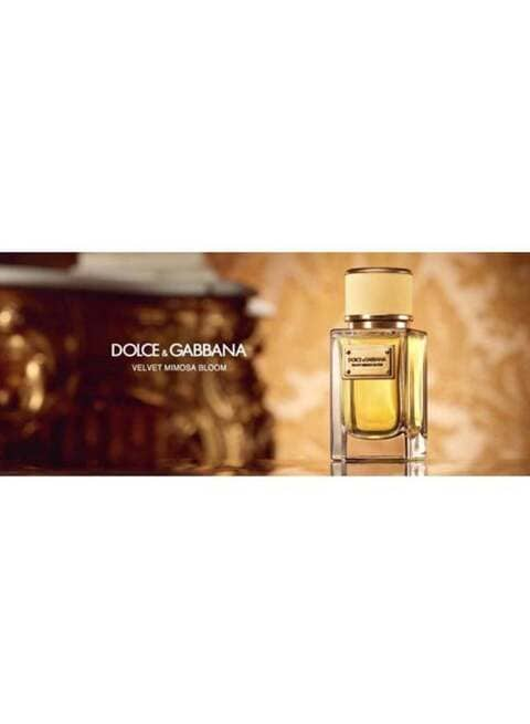 Velvet mimosa bloom dolce&gabbana hot sale