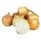 Yellow Onion Bag