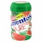Mentos Pure Fresh Watermelon Flavour Chewing Gum 87.5g