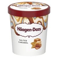 Haagen Dazs Salted Caramel Ice Cream 460ml